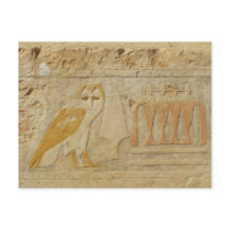 Owl Hieroglyph Detail, Hatshepsut Temple, Egypt Postcards