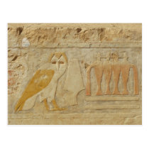 Owl Hieroglyph Detail, Hatshepsut Temple, Egypt postcards