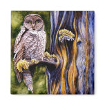 Owl Hoo's Look'n Magnet