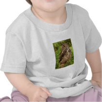 Owl Infant Tee Shirt