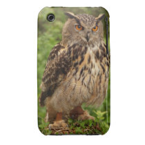 Owl iPhone 3 Case-Mate Barely There
