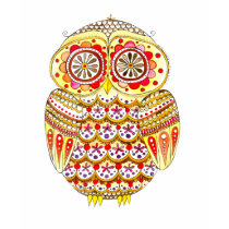 Owl - lighter tee shirt