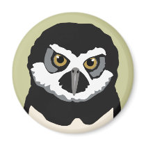 Owl Magnet