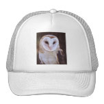 owl mesh hats