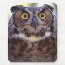 Owl mousepads