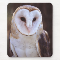owl mousepads