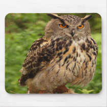 Owl Mousepad