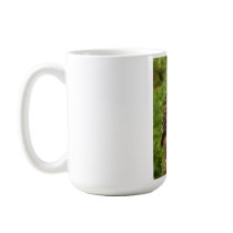 Owl on a Mug