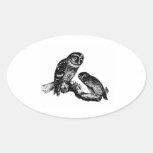 Owl Owls Bird Vintage Wood Engraving Oval Sticker