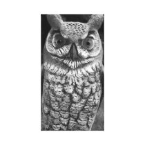 Owl Photo Canvas Print