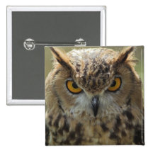 Owl Photo Square Pin