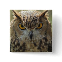 Owl Photo Square Pin