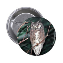 Owl Pinback Button