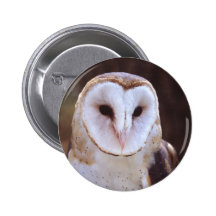 owl pinback button