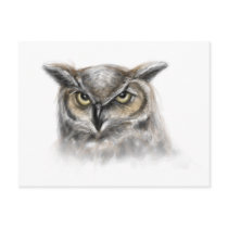 owl post card