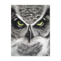 Owl Postcard