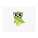 Owl Postcard