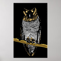 Owl Print