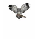 Owl - Sacred Spirit T-Shirt