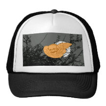 Owl Sighting Hat