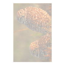 owl stationery design