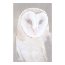 owl stationery paper