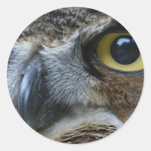 Owl Stickers