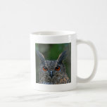 Owl Themed Mugs, Magnets, Necklaces and more mugs