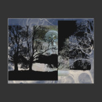 Owl Trail postcards