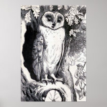 "Owl" Vintage Illustration Print