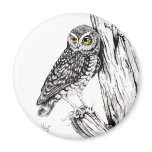 Owl With Grasshopper Magnet