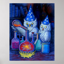 Owl Wizards Magic alchemy whimsical funny poster