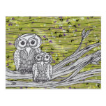 Owls and Butterflies Post Cards