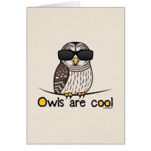 Owls are cool card