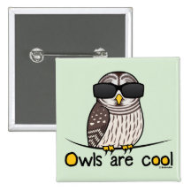 Owls are cool! pin