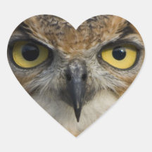 Owls Eyes Heart Stickers