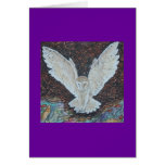 OWL'S FOLLY cards