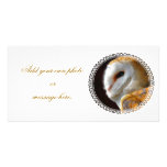 OWLS photo cards