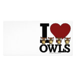 owls photo cards