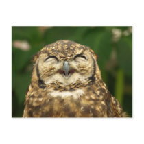 owl's smile!! :)