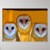 Owls with mama