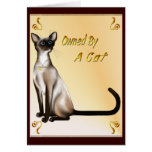 Owned By A Cat Card