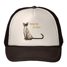 Owned By A Cat Hat