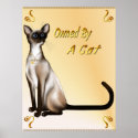 Owned By A Cat Poster posters