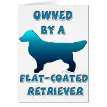 Owned by a Flat-coated Retriever Greeting Card