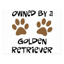 Owned By A Golden Retriever Postcard