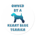 Owned by a Kerry Blue Terrier stickers