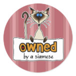 owned by a siamese stickers