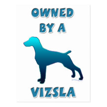 Owned by a Vizsla Post Cards