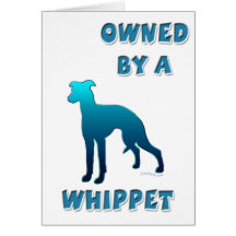 Owned by a Whippet Cards